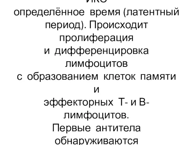 Антиген попадает в организм, рас- познаётся в активирующейся ИКС определённое время