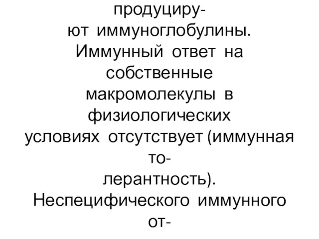 Плазматические клетки продуциру- ют иммуноглобулины. Иммунный ответ на собственные макромолекулы в