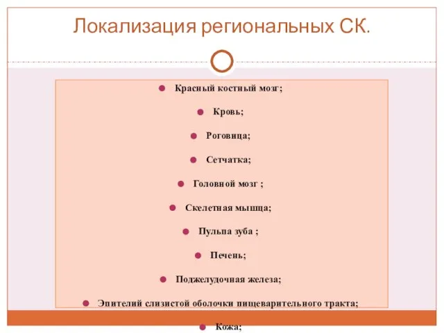 Локализация региональных СК. Красный костный мозг; Кровь; Роговица; Сетчатка; Головной мозг