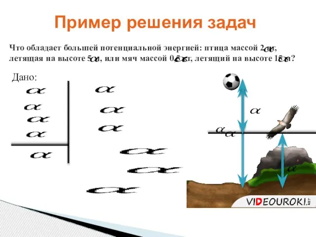 Что обладает большей потенциальной энергией: птица массой 2 кг, летящая на