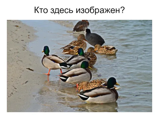 Кто здесь изображен?