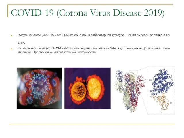 COVID-19 (Corona Virus Disease 2019) Вирусные частицы SARS-CoV-2 (синие объекты) в