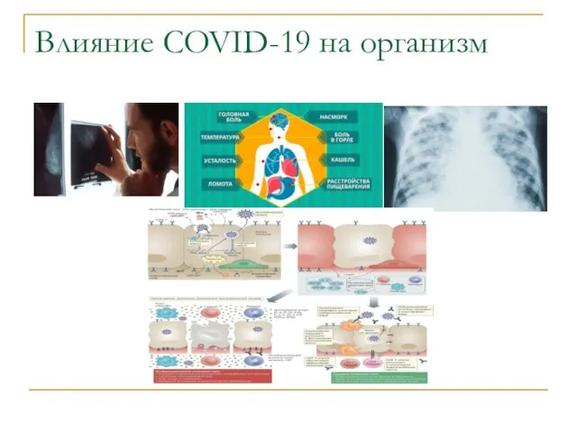 Влияние COVID-19 на организм