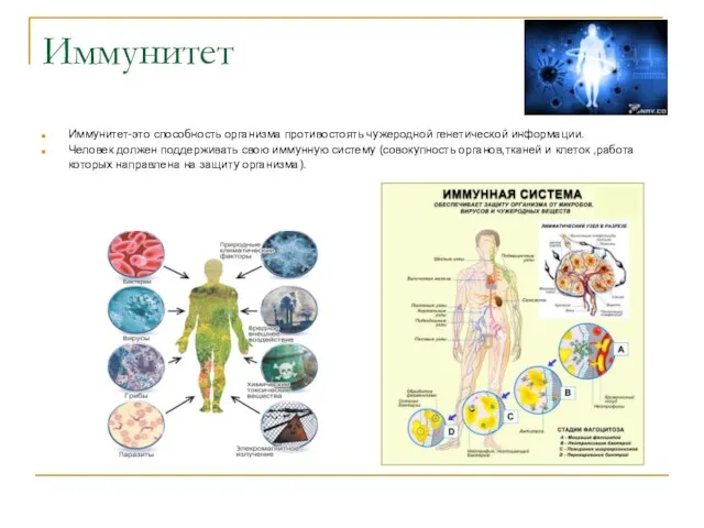 Иммунитет Иммунитет-это способность организма противостоять чужеродной генетической информации. Человек должен поддерживать