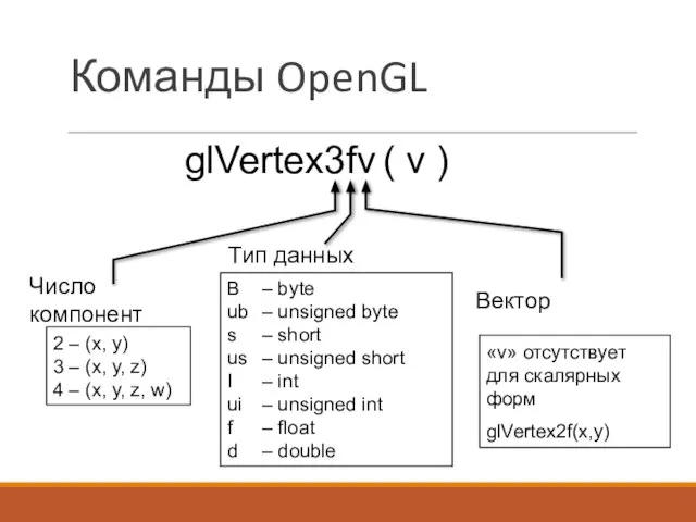 Команды OpenGL glVertex3fv ( v ) 2 – (x, y) 3