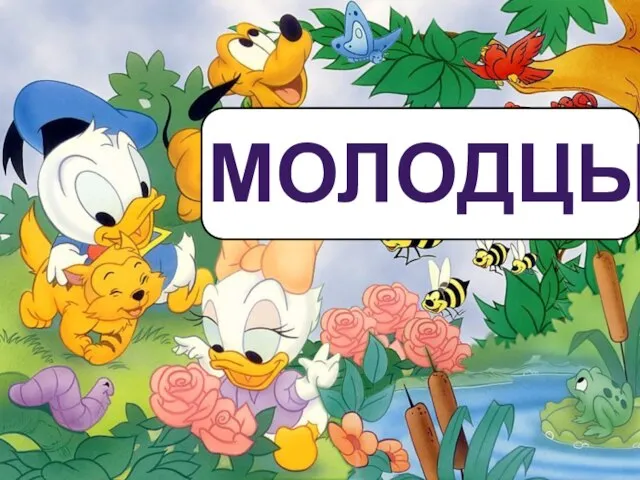 МОЛОДЦЫ!