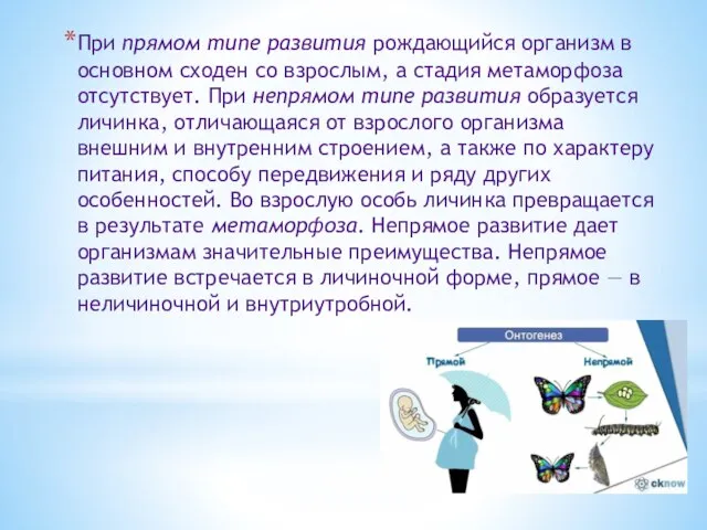 При прямом типе развития рождающийся организм в основном сходен со взрослым,