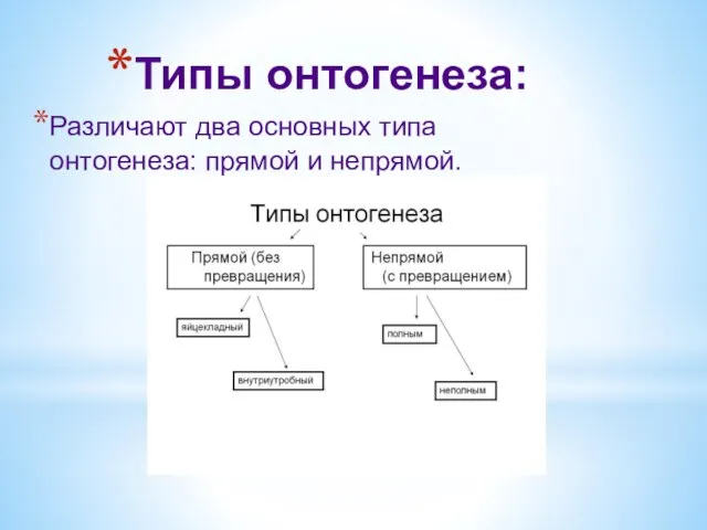 Типы онтогенеза: Различают два основных типа онтогенеза: прямой и непрямой.