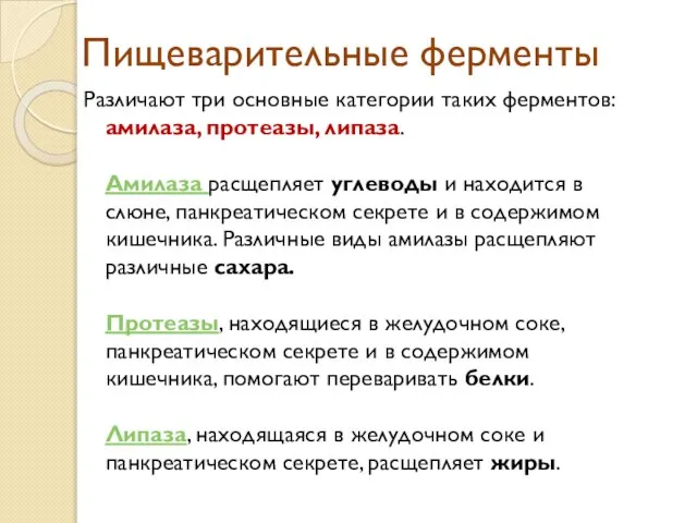 Пищеварительные ферменты Различают три основные категории таких ферментов: амилаза, протеазы, липаза.