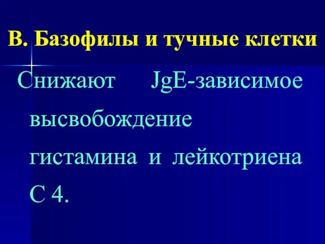 В. Базофилы и тучные клетки Снижают JgE-зависимое высвобождение гистамина и лейкотриена С 4.