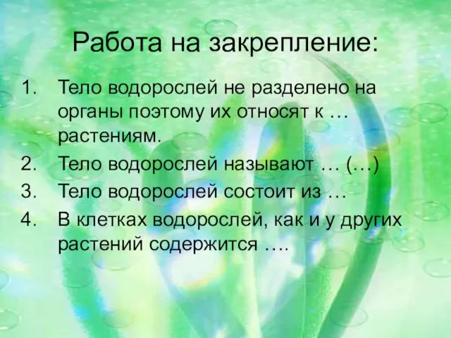 Работа на закрепление: Тело водорослей не разделено на органы поэтому их