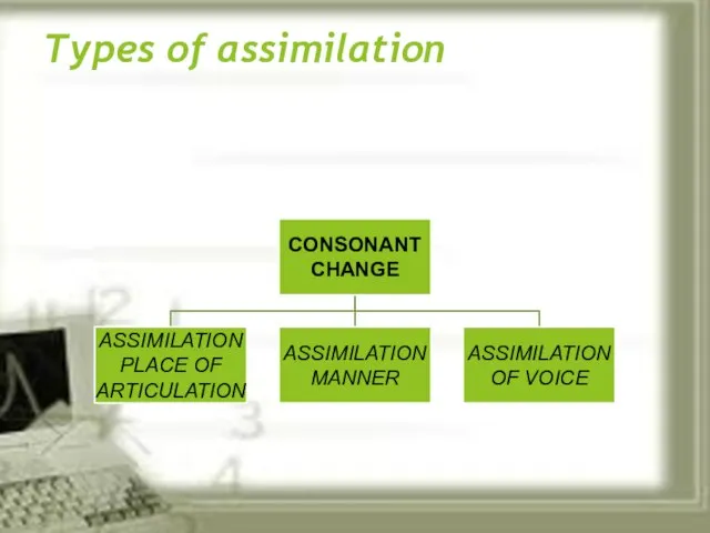 Types of assimilation