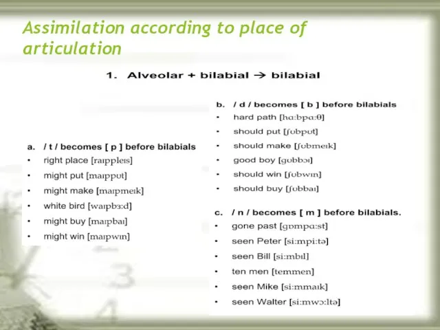 Assimilation according to place of articulation