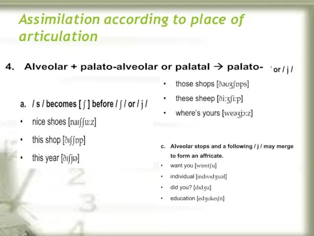 Assimilation according to place of articulation