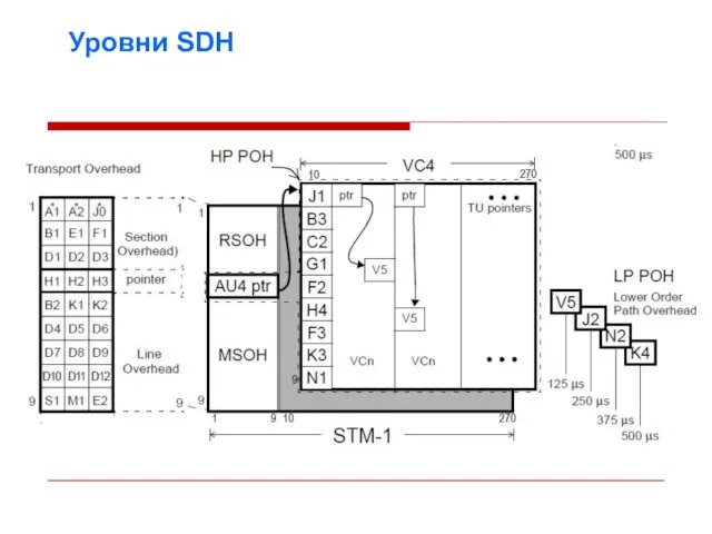 Уровни SDH