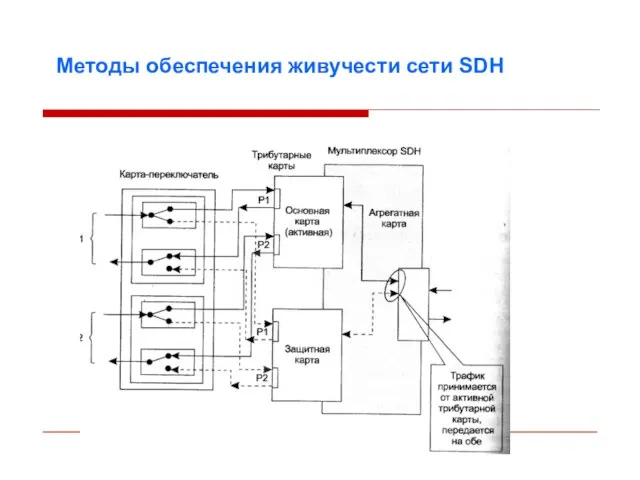 Методы обеспечения живучести сети SDH