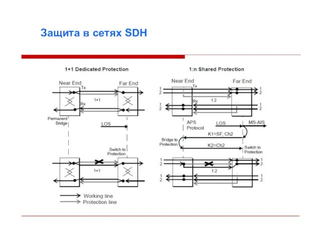 Защита в сетях SDH