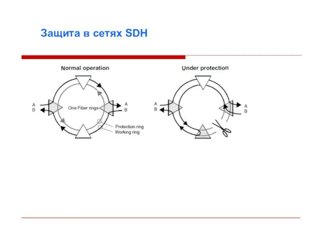 Защита в сетях SDH