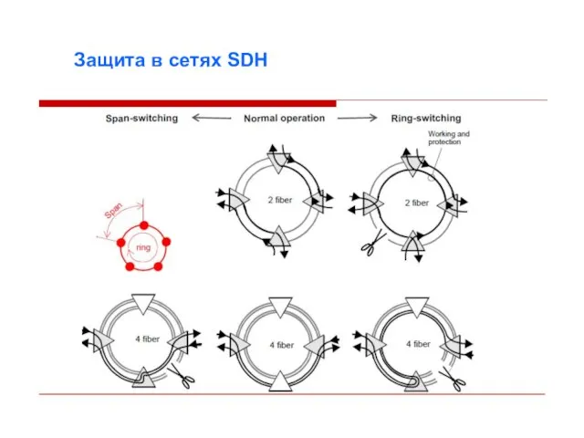 Защита в сетях SDH