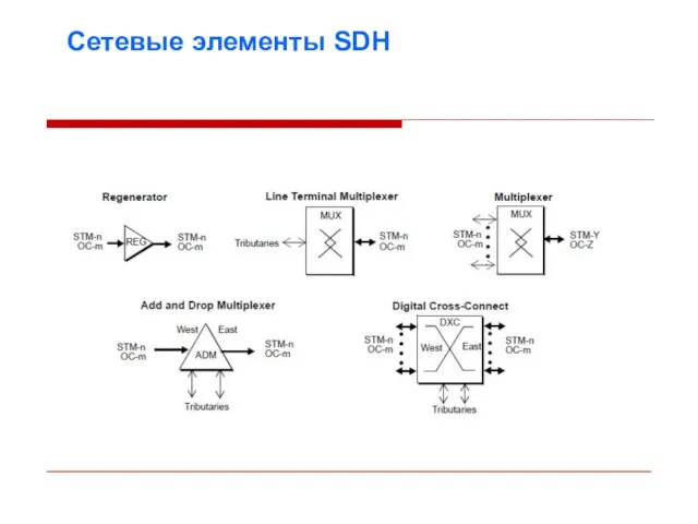 Сетевые элементы SDH