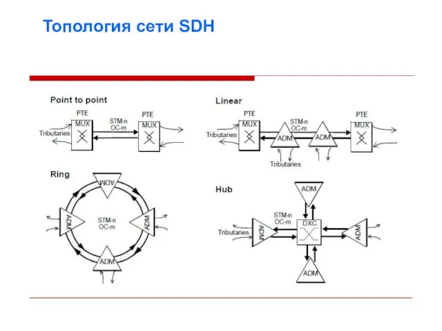 Топология сети SDH