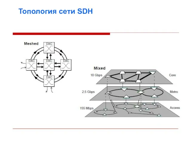 Топология сети SDH