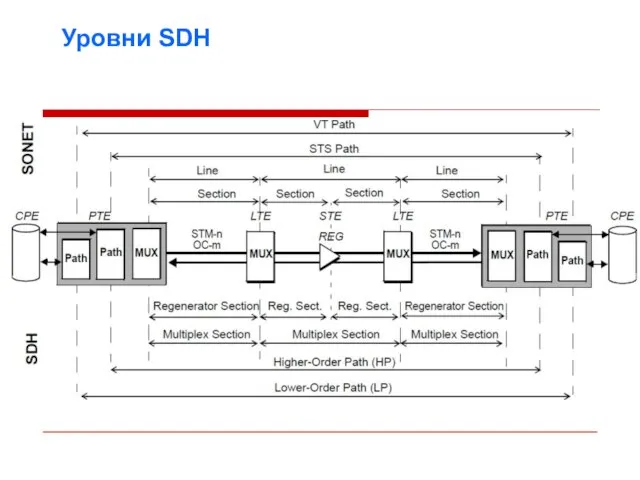 Уровни SDH