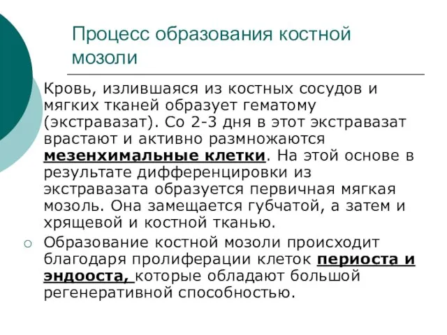 Процесс образования костной мозоли Кровь, излившаяся из костных сосудов и мягких