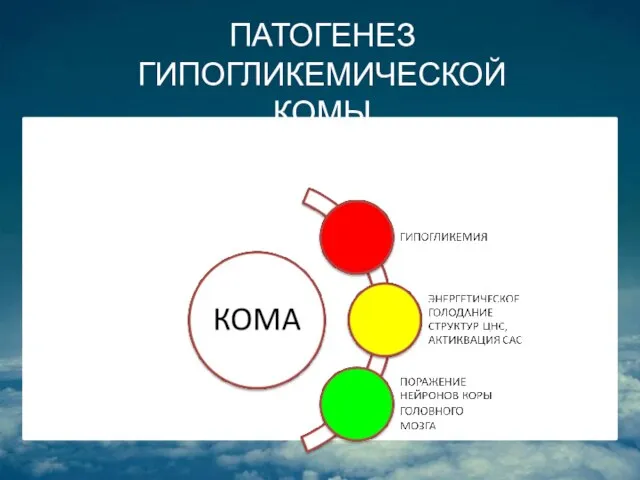 ПАТОГЕНЕЗ ГИПОГЛИКЕМИЧЕСКОЙ КОМЫ