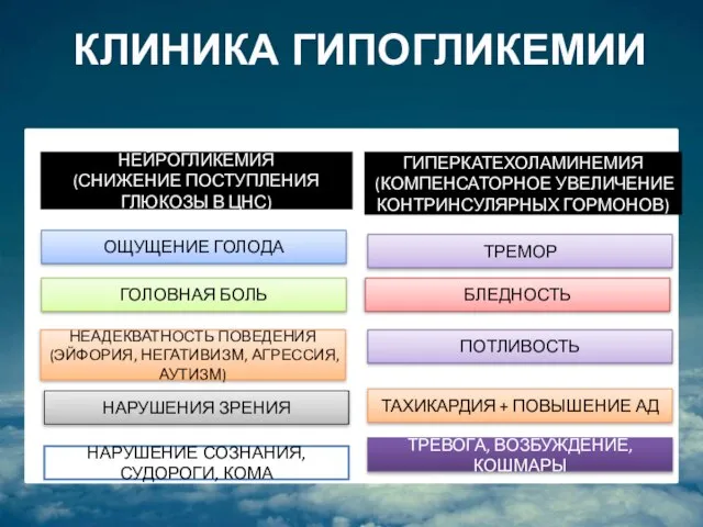 НЕЙРОГЛИКЕМИЯ (СНИЖЕНИЕ ПОСТУПЛЕНИЯ ГЛЮКОЗЫ В ЦНС) ГИПЕРКАТЕХОЛАМИНЕМИЯ (КОМПЕНСАТОРНОЕ УВЕЛИЧЕНИЕ КОНТРИНСУЛЯРНЫХ ГОРМОНОВ)