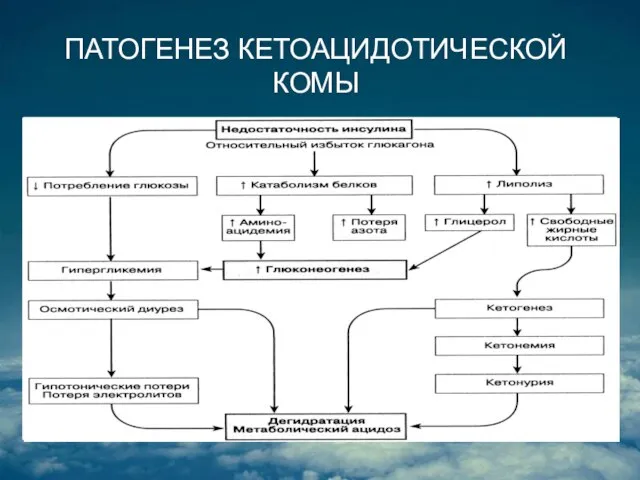 ПАТОГЕНЕЗ КЕТОАЦИДОТИЧЕСКОЙ КОМЫ