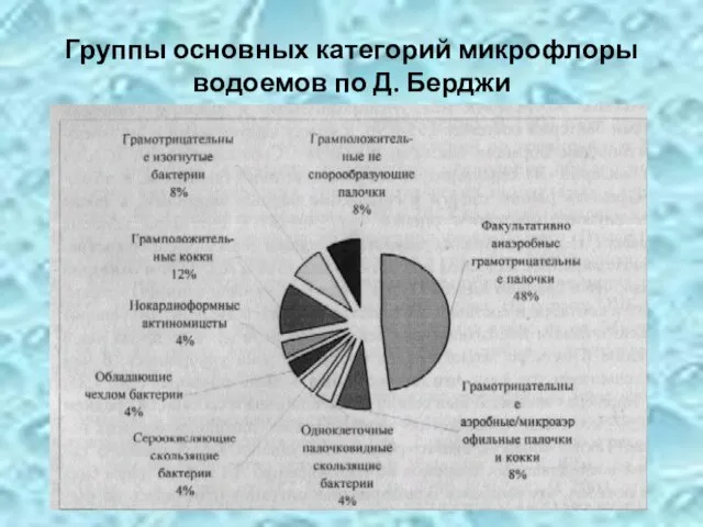 Группы основных категорий микрофлоры водоемов по Д. Берджи