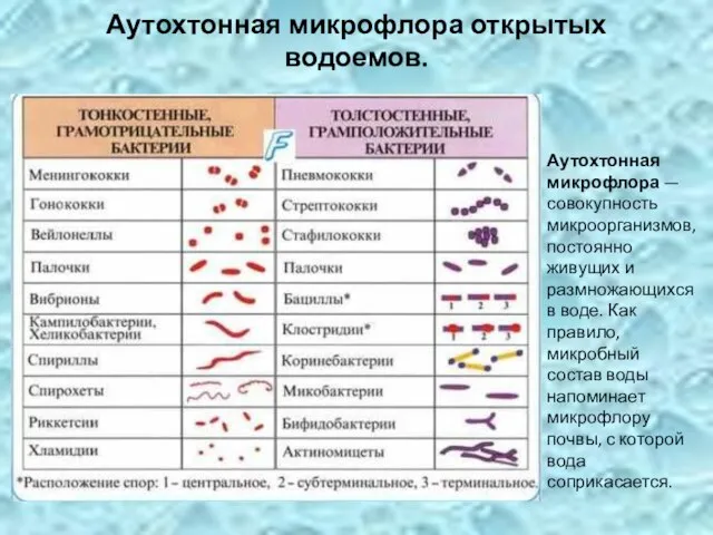 Аутохтонная микрофлора открытых водоемов. Аутохтонная микрофлора — совокупность микроорганизмов, постоянно живущих