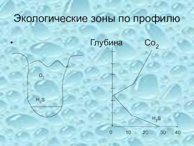 Экологические зоны по профилю Глубина Со2 0 10 20 30 40 Н2S О2 H2S