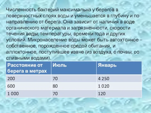 Численность бактерий максимальна у берегов в поверхностных слоях воды и уменьшается