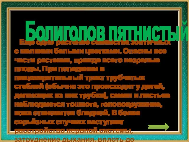 Еще одно растение семейства зонтичных с мелкими белыми цветками. Опасны все