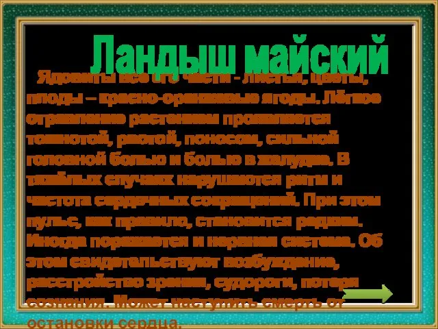 Ядовиты все его части - листья, цветы, плоды – красно-оранжевые ягоды.