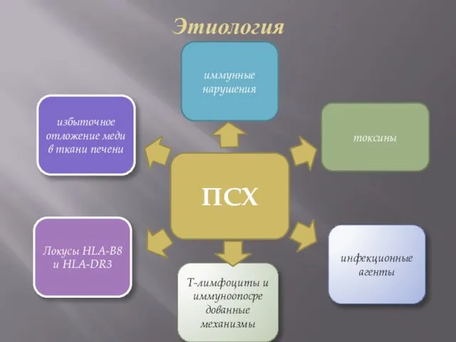 Этиология ПСХ токсины инфекционные агенты Т-лимфоциты и иммуноопосре дованные механизмы Локусы