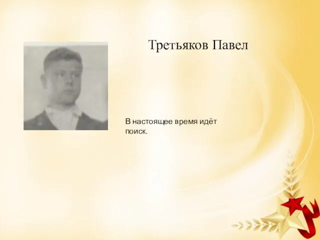 Третьяков Павел В настоящее время идёт поиск.