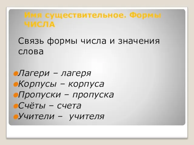 Имя существительное. Формы ЧИСЛА Связь формы числа и значения слова Лагери