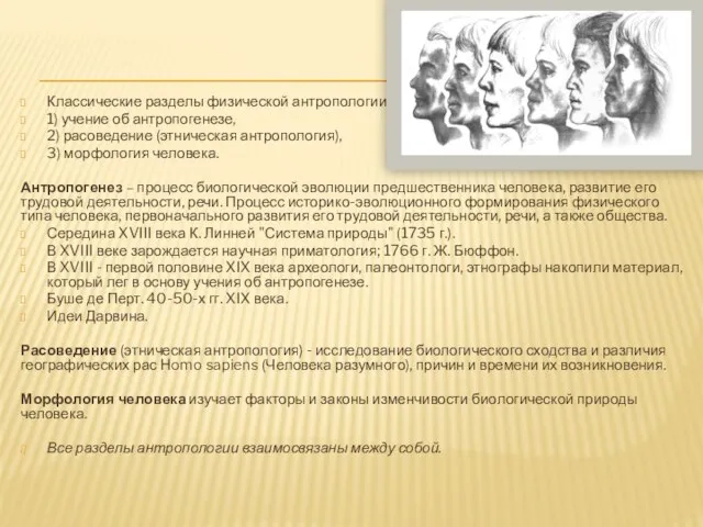 Классические разделы физической антропологии: 1) учение об антропогенезе, 2) расоведение (этническая