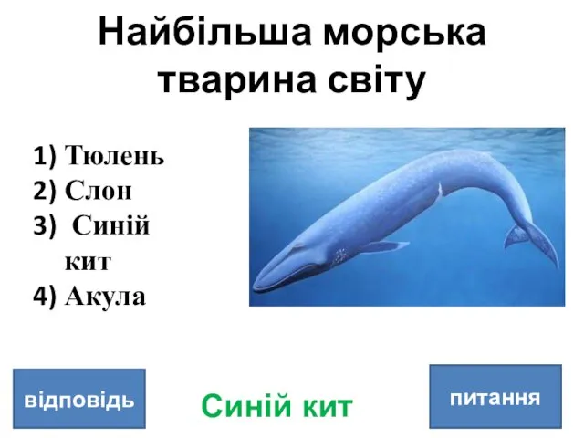Найбільша морська тварина світу питання відповідь Тюлень Слон Синій кит Акула Синій кит