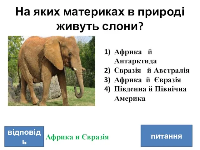 На яких материках в природі живуть слони? питання відповідь Африка й