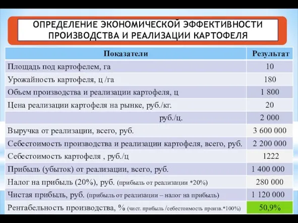 ОПРЕДЕЛЕНИЕ ЭКОНОМИЧЕСКОЙ ЭФФЕКТИВНОСТИ ПРОИЗВОДСТВА И РЕАЛИЗАЦИИ КАРТОФЕЛЯ