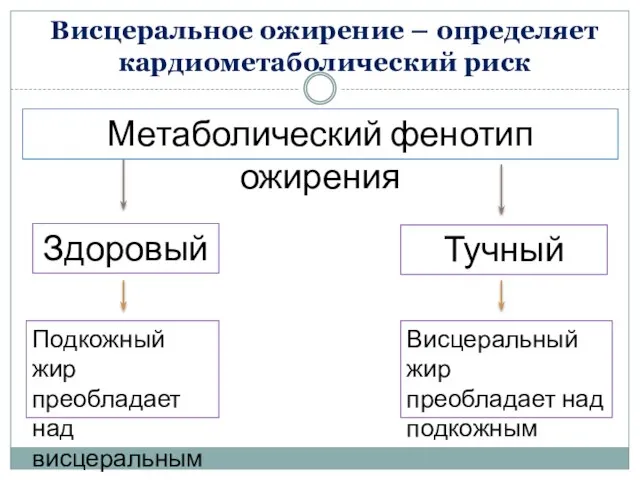 Висцеральное ожирение – определяет кардиометаболический риск Метаболический фенотип ожирения Здоровый Тучный