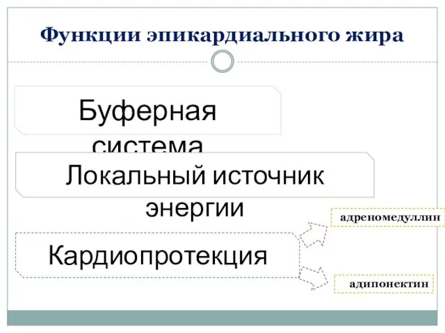 Функции эпикардиального жира Буферная система Локальный источник энергии Кардиопротекция адипонектин адреномедуллин