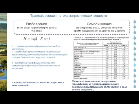 Трансформация потока загрязняющих веществ Насколько значительна внерусловая трансформация потока загрязняющих веществ(трансформация