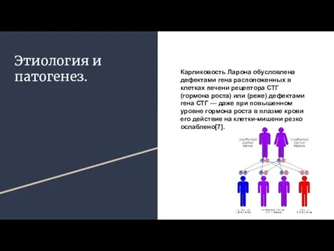 Этиология и патогенез. Карликовость Ларона обусловлена дефектами гена расположенных в клетках