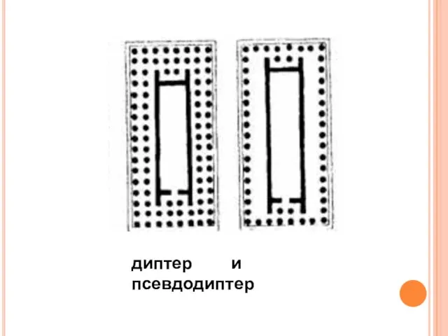 диптер и псевдодиптер