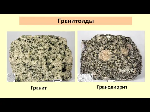 Гранитоиды Гранит Гранодиорит